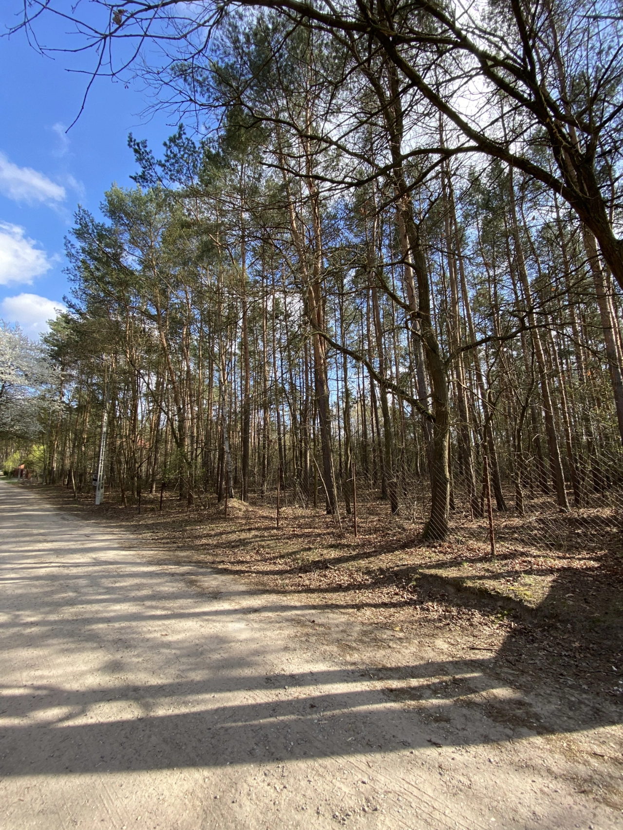 Działka budowlana - zdjęcie 3